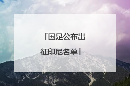 国足公布出征印尼名单