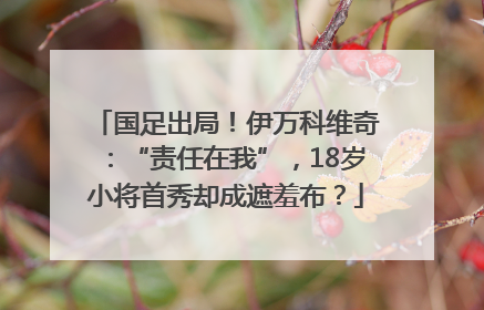国足出局！伊万科维奇：“责任在我”，18岁小将首秀却成遮羞布？