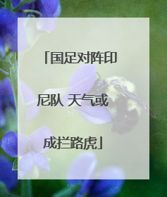 国足对阵印尼队 天气或成拦路虎