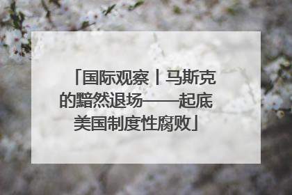 国际观察丨马斯克的黯然退场——起底美国制度性腐败