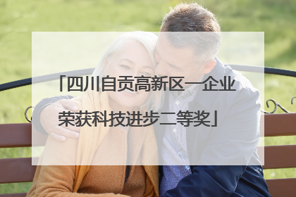 四川自贡高新区一企业荣获科技进步二等奖