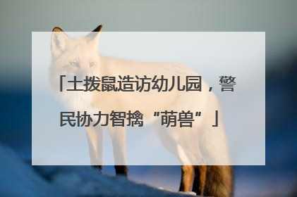 土拨鼠造访幼儿园，警民协力智擒“萌兽”