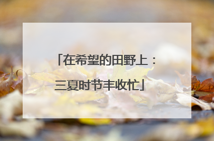 在希望的田野上：三夏时节丰收忙
