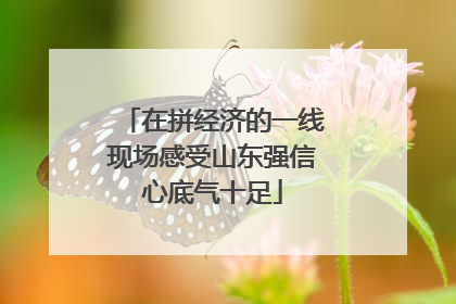 在拼经济的一线现场感受山东强信心底气十足
