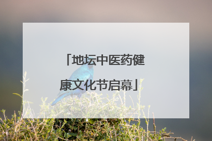 地坛中医药健康文化节启幕