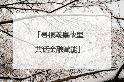 寻根羲皇故里 共话金融赋能