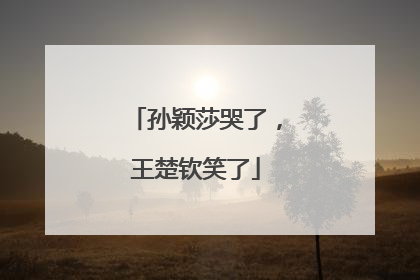 孙颖莎哭了，王楚钦笑了