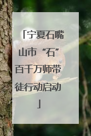宁夏石嘴山市“石”百千万师带徒行动启动