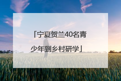 宁夏贺兰40名青少年到乡村研学