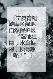 宁夏青铜峡库区湿地自然保护区：“湿地壮阔，水鸟振翅，顶有趣呢！”