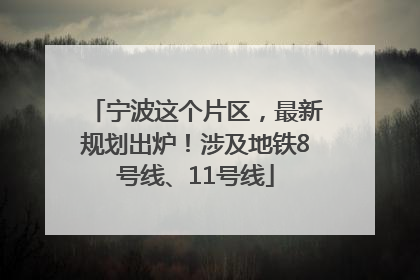 宁波这个片区，最新规划出炉！涉及地铁8号线、11号线