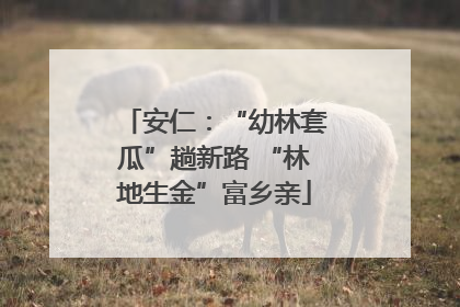 安仁：“幼林套瓜”趟新路 “林地生金”富乡亲