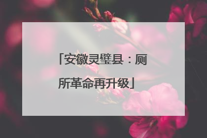 安徽灵璧县：厕所革命再升级