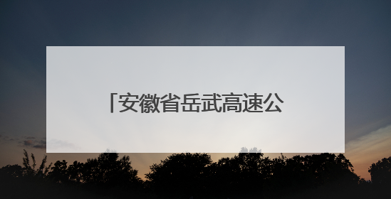 安徽省岳武高速公路路政大队等七家单位到岳西县特教学校开展爱心志愿活动
