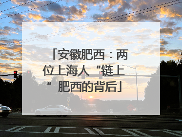 安徽肥西：两位上海人“链上”肥西的背后