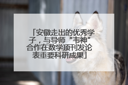 安徽走出的优秀学子，与导师“韦神”合作在数学顶刊发论表重要科研成果