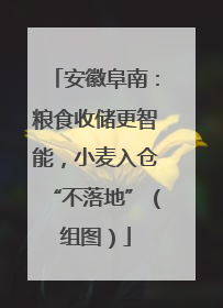 安徽阜南：粮食收储更智能，小麦入仓“不落地”（组图）
