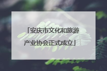 安庆市文化和旅游产业协会正式成立