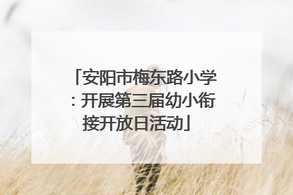 安阳市梅东路小学：开展第三届幼小衔接开放日活动