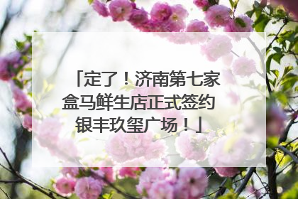 定了！济南第七家盒马鲜生店正式签约银丰玖玺广场！