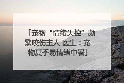 宠物“情绪失控”频繁咬伤主人 医生：宠物夏季易情绪中暑