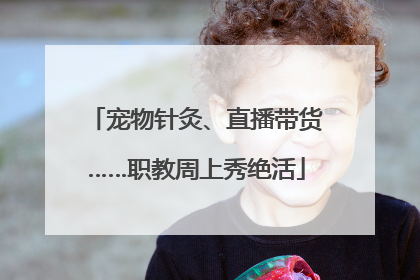 宠物针灸、直播带货……职教周上秀绝活