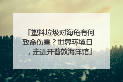 塑料垃圾对海龟有何致命伤害？世界环境日，走进开普敦海洋馆