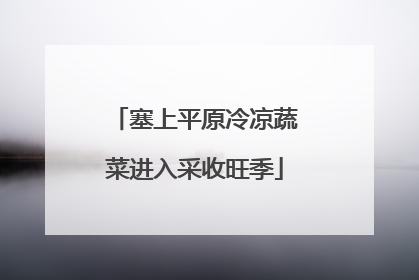 塞上平原冷凉蔬菜进入采收旺季