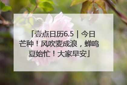壹点日历6.5｜今日芒种！风吹麦成浪，蝉鸣夏始忙！大家早安