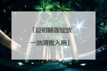 夏初睡莲绽放 一池清雅入画