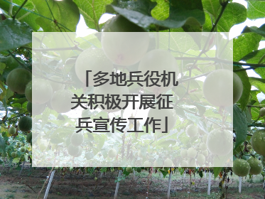 多地兵役机关积极开展征兵宣传工作