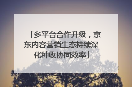 多平台合作升级，京东内容营销生态持续深化种收协同效率