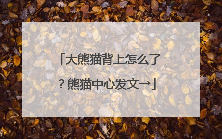 大熊猫背上怎么了？熊猫中心发文→