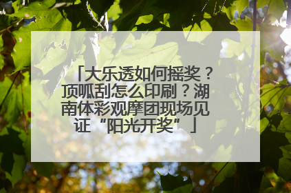 大乐透如何摇奖？顶呱刮怎么印刷？湖南体彩观摩团现场见证“阳光开奖”