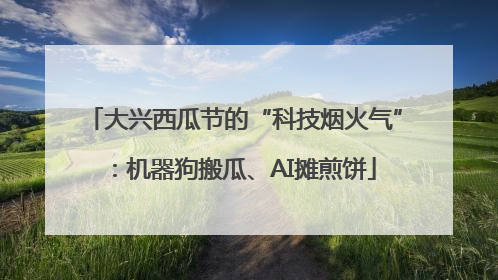 大兴西瓜节的“科技烟火气”：机器狗搬瓜、AI摊煎饼