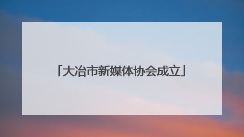 大冶市新媒体协会成立