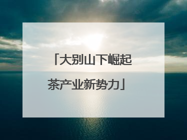 大别山下崛起茶产业新势力
