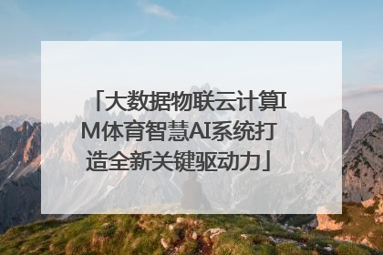 大数据物联云计算IM体育智慧AI系统打造全新关键驱动力