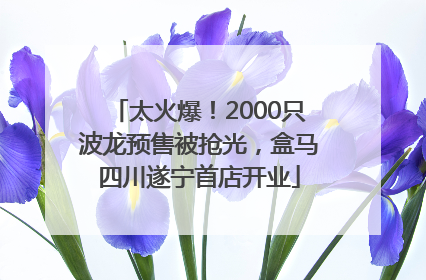 太火爆！2000只波龙预售被抢光，盒马四川遂宁首店开业