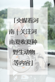 央媒看河南｜关注河南夏收夏种 野生动物等内容