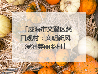 威海市文登区慈口观村：文明新风浸润美丽乡村