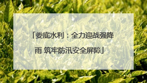 娄底水利：全力迎战强降雨 筑牢防汛安全屏障