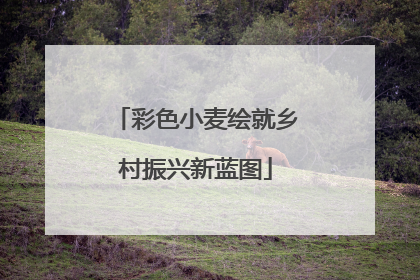 彩色小麦绘就乡村振兴新蓝图