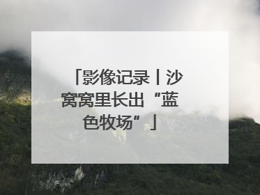 影像记录丨沙窝窝里长出“蓝色牧场”