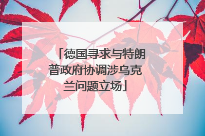德国寻求与特朗普政府协调涉乌克兰问题立场