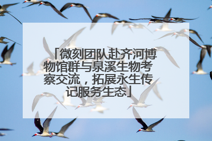 微刻团队赴齐河博物馆群与泉溪生物考察交流，拓展永生传记服务生态