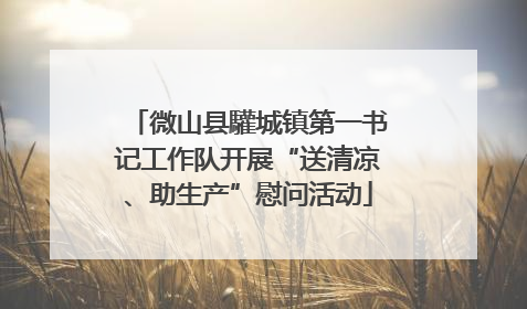 微山县驩城镇第一书记工作队开展“送清凉、助生产”慰问活动