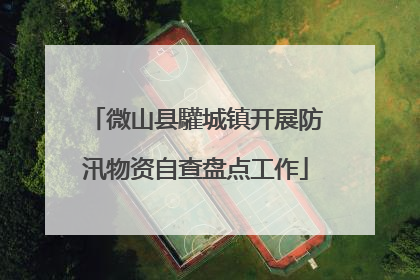 微山县驩城镇开展防汛物资自查盘点工作