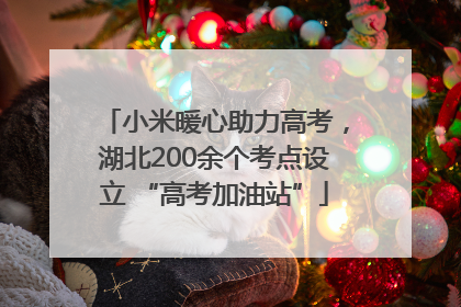小米暖心助力高考，湖北200余个考点设立 “高考加油站”