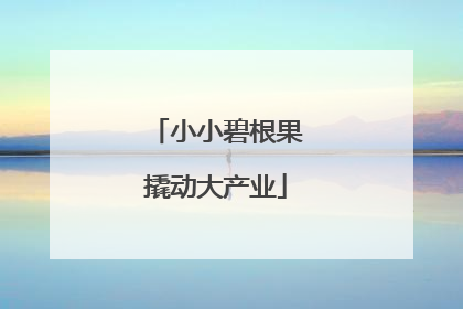 小小碧根果撬动大产业